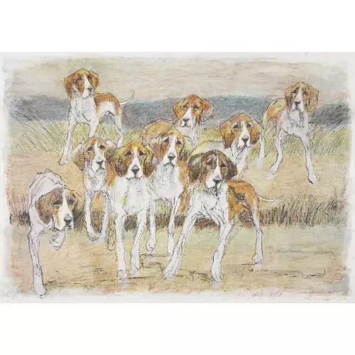 Beagles