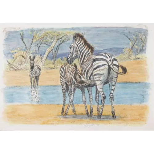 Zebras an der Tränke