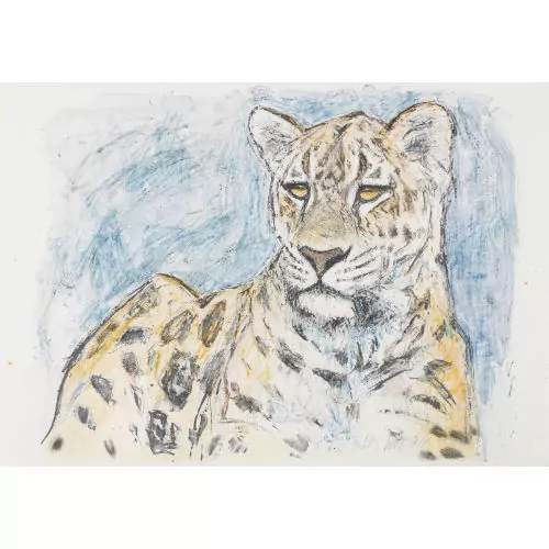 Liegender Leopard