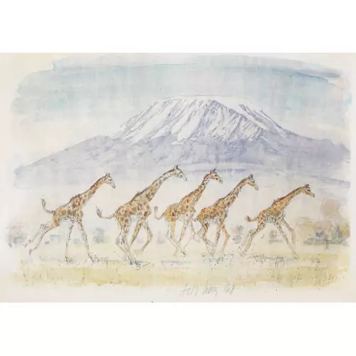 Trabende Giraffen vor dem Kilimandscharo