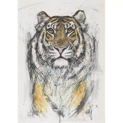 Tigerkopf