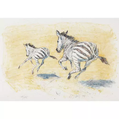 Trabende Zebras