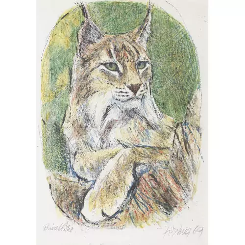 Ruhender Luchs