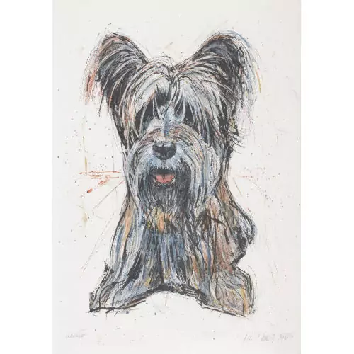 Skye Terrier