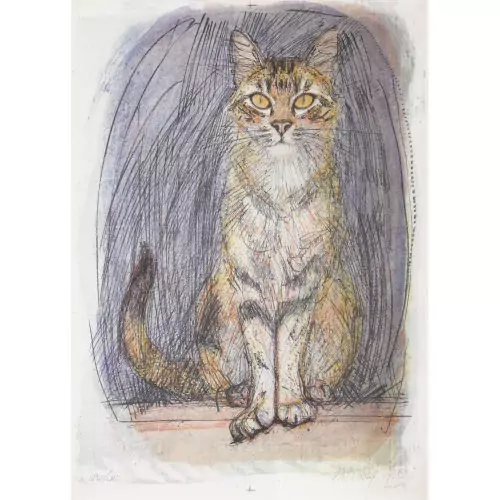 Katze