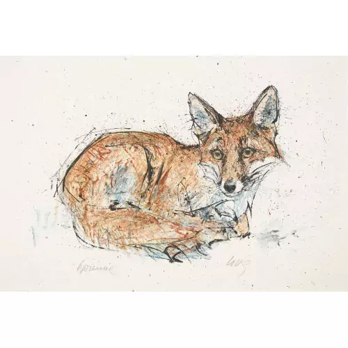 Liegender Fuchs