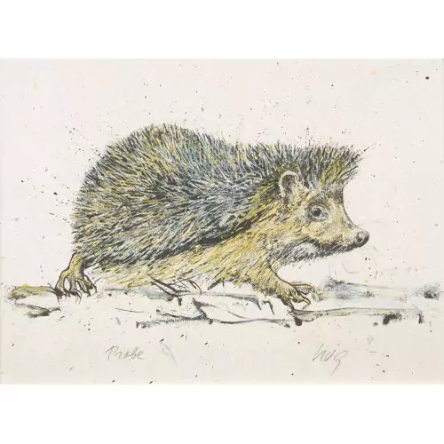 Igel