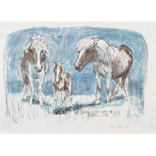 Ponyfamilie