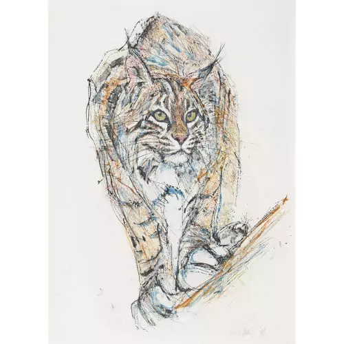 Luchs