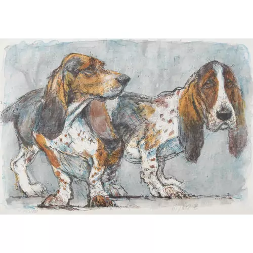 Basset Hound-Paar