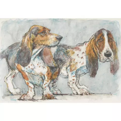 Basset Hound-Paar