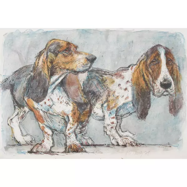 Basset Hounds