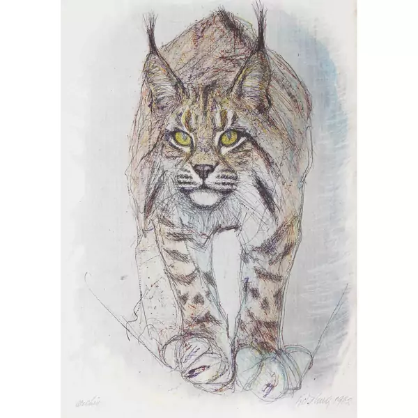 Luchs