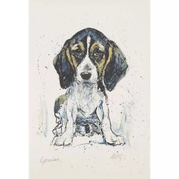 Beagle-Welpe