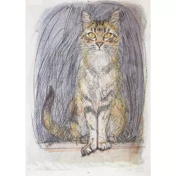 Hauskatze