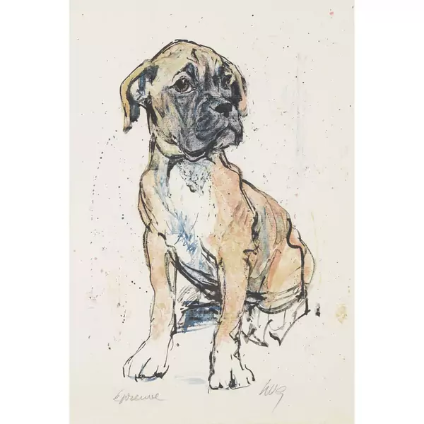 Boxerwelpe