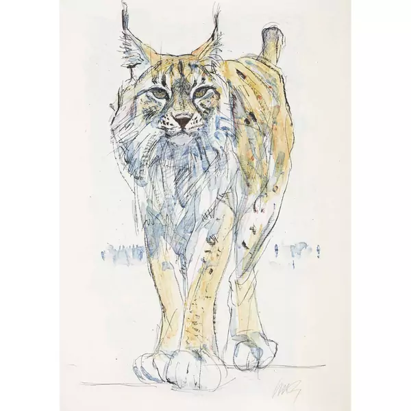 Luchs