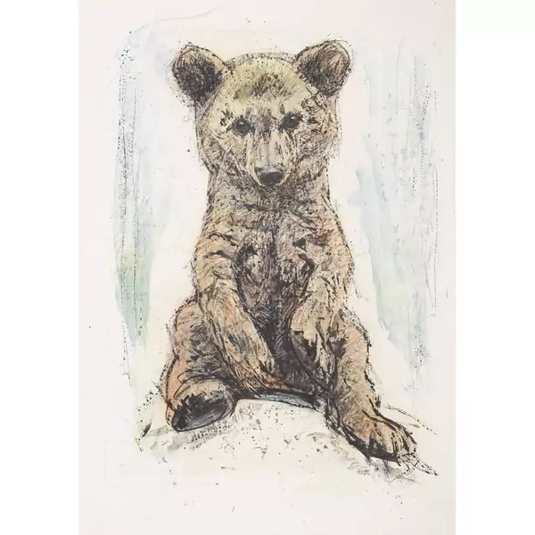 Jungbär