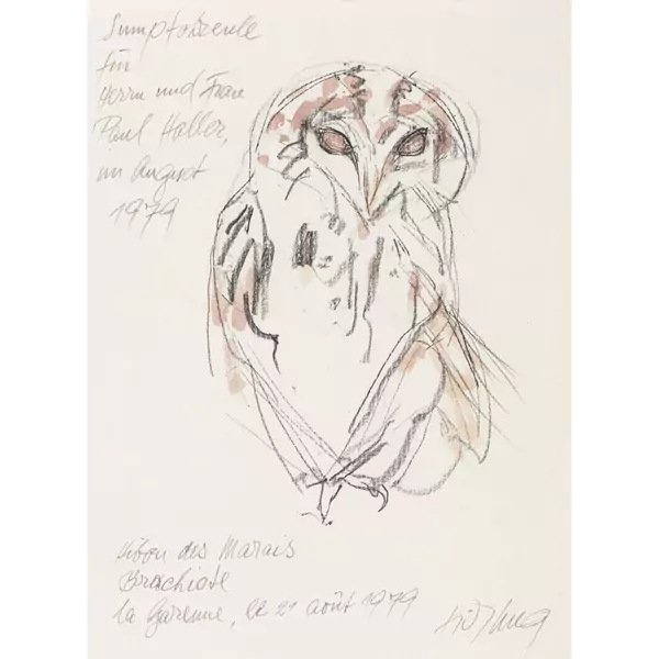 "Sumpfohreule"