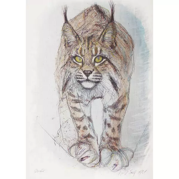 Luchs