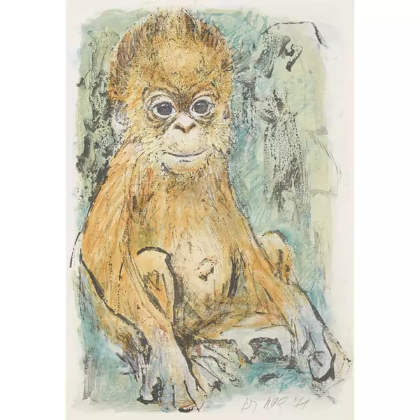 Junger Orang-Utang