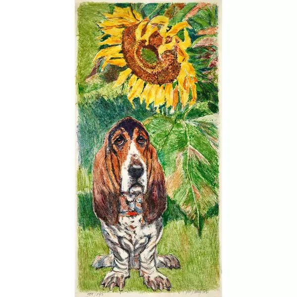 Basset unter Sonnenblume