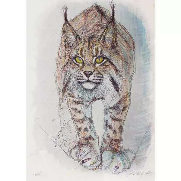 Luchs