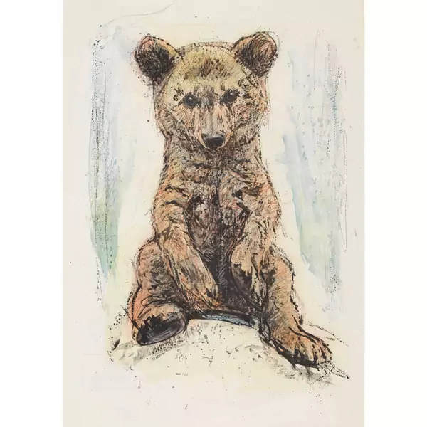 Jungbär