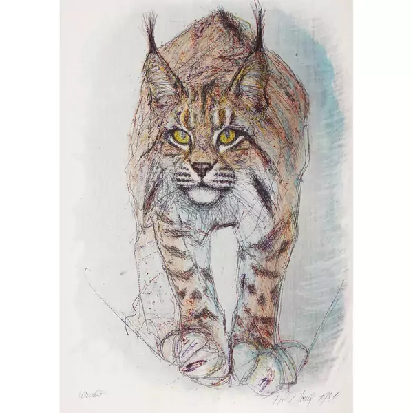 Luchs