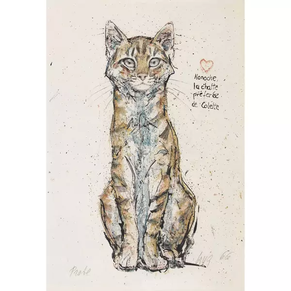 "Nonoche la chatte préferée de Colette"