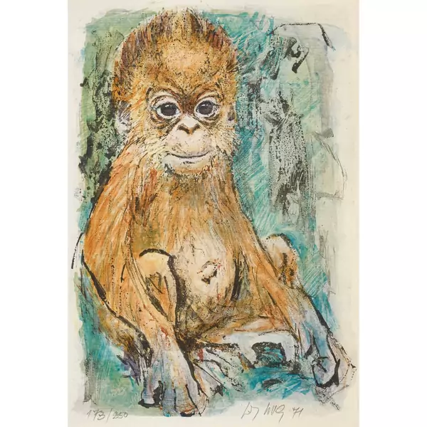 Orang-Utan-Baby