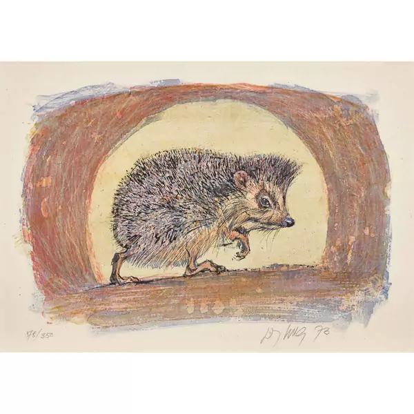 Igel
