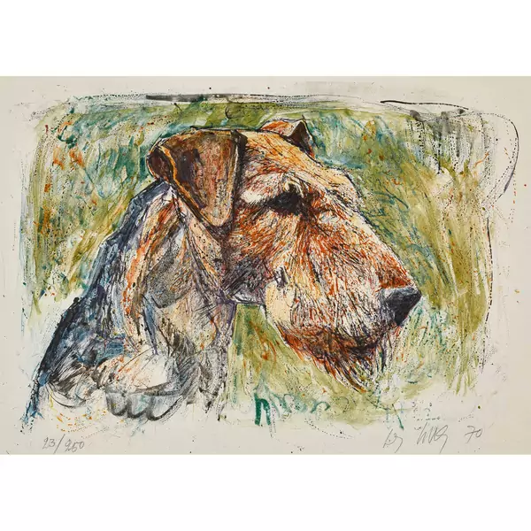 Welsh Terrier
