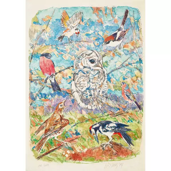 Einheimische Vögel