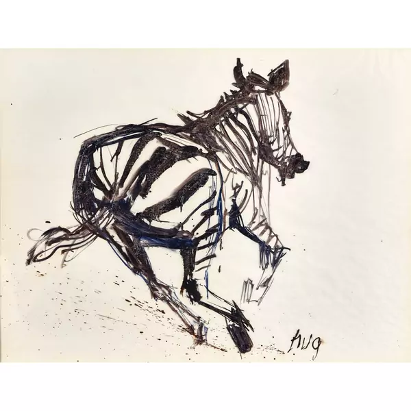 Trabendes Zebra
