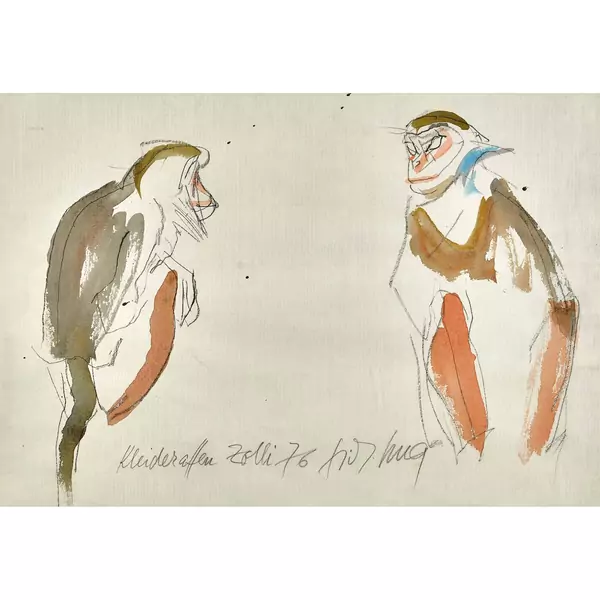 "Kleideraffen Zolli"