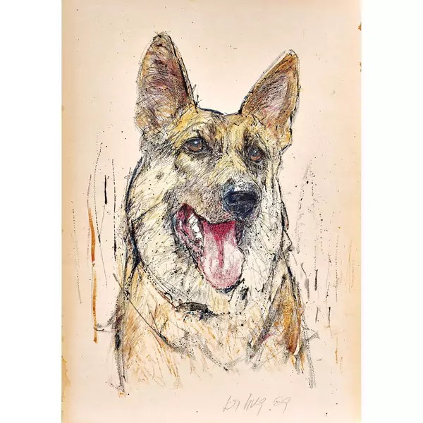 Schäferhund