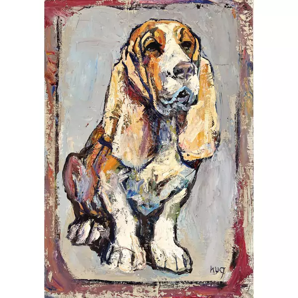 Basset Hound
