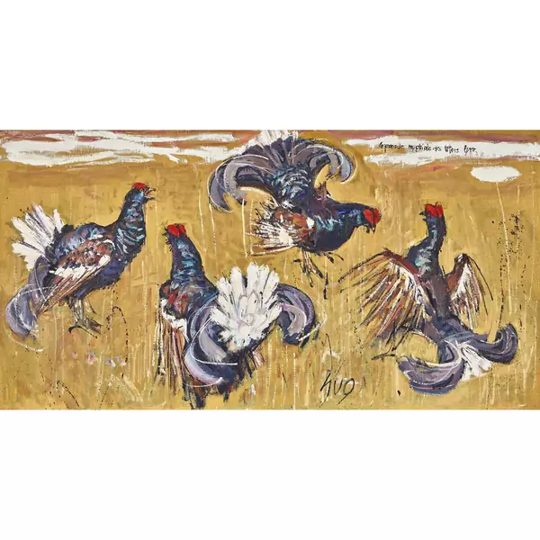 "La parade nuptiale des tétras lyre"