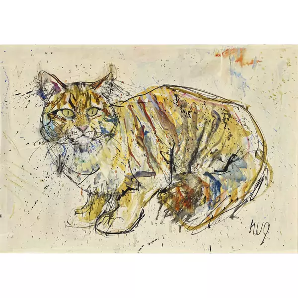 Katze