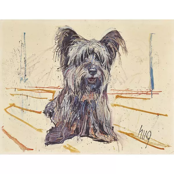 Terrier