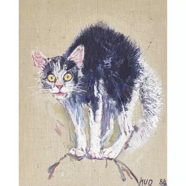 Der Katzenbuckel