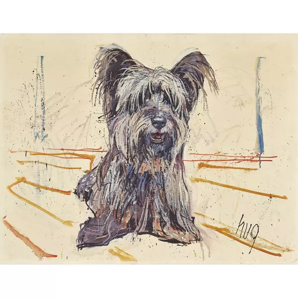 Terrier