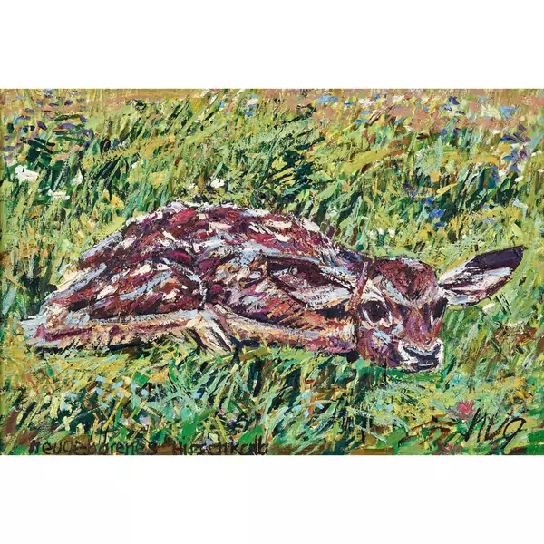 "Neugeborenes Hirschkalb"