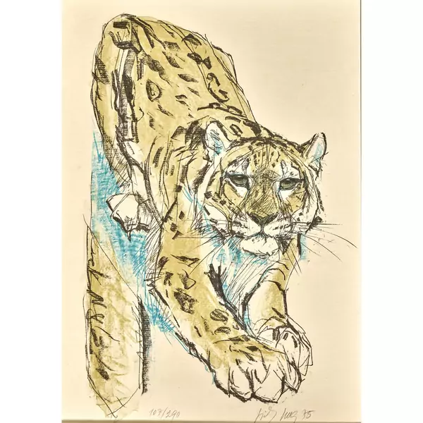 Leopard