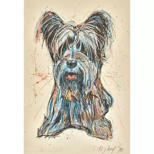 Skye Terrier