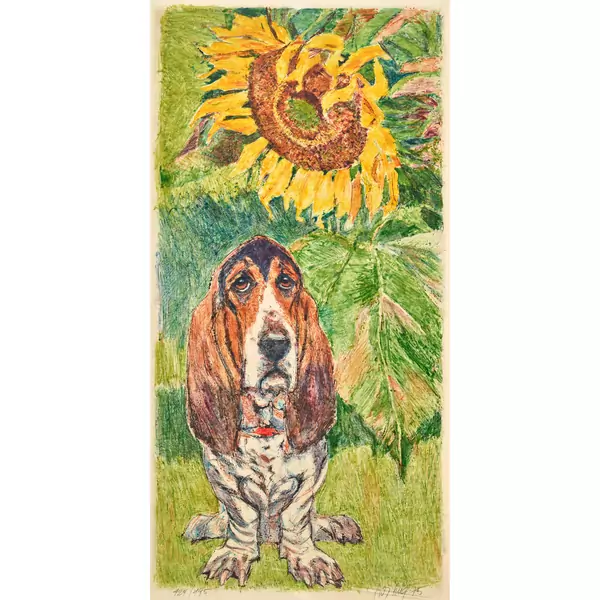 Basset