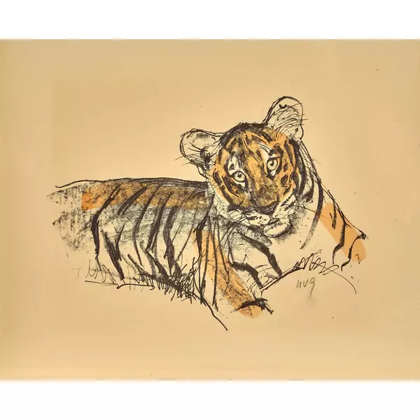 Junger Tiger