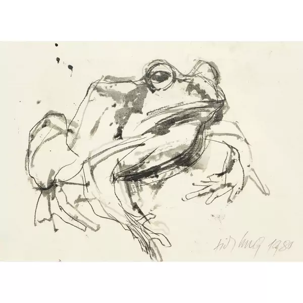 Frosch