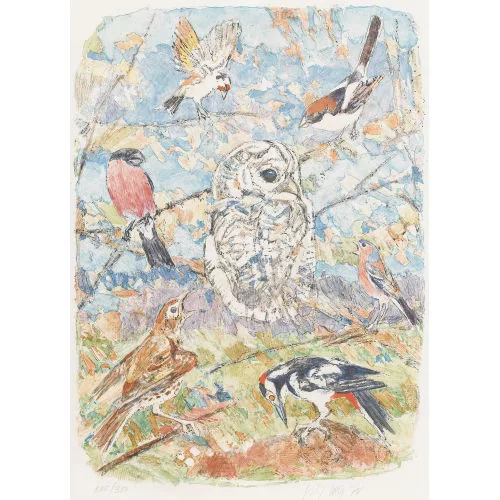 Fritz Hug — Einheimische Vogelarten.